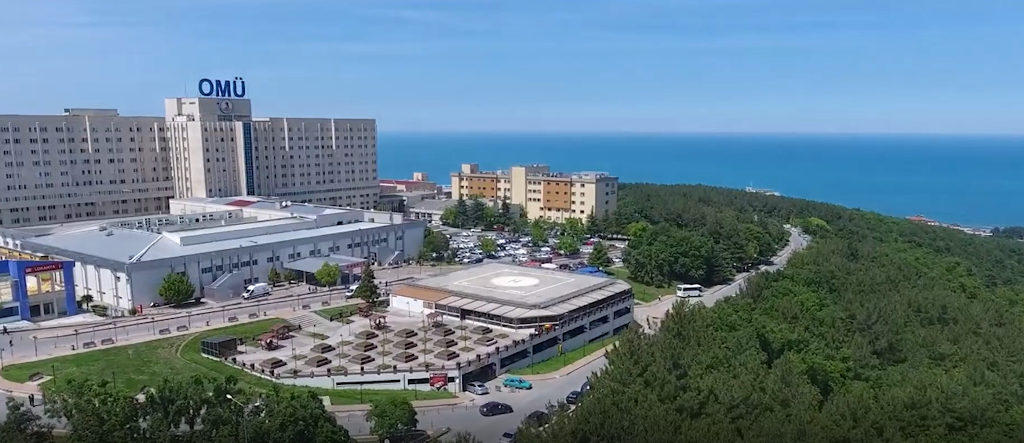 19 Mayıs Araç Kiralama: Sahil, Tarım ve Güvenli Karadeniz Rotası