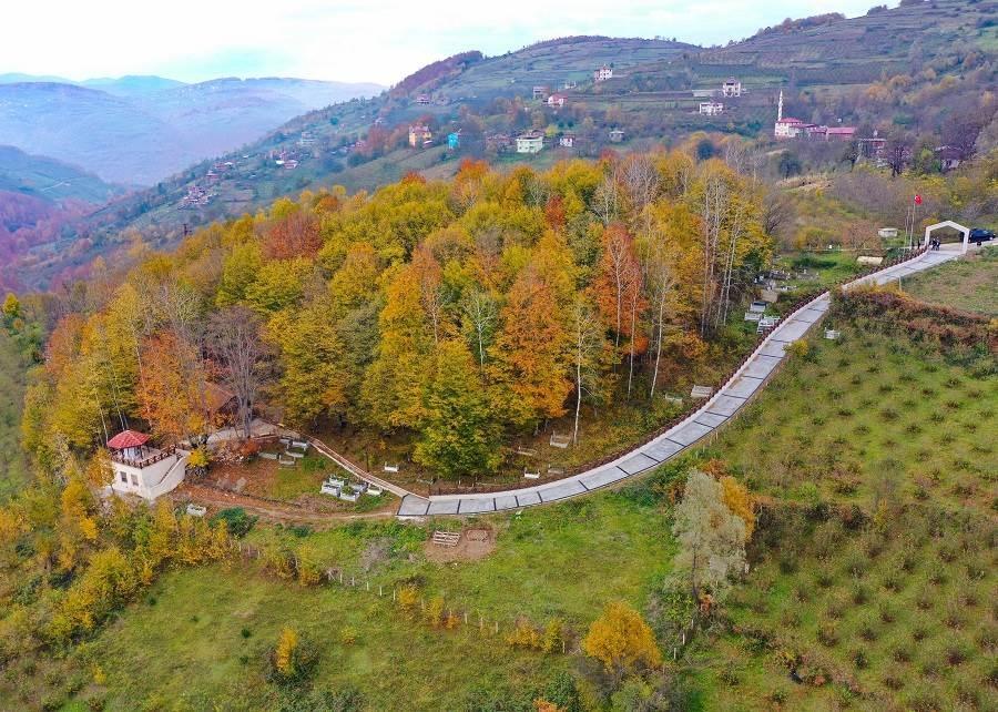 Akkuş Araç Kiralama, Havalimanı Transferi ve Gezilecek Yerler