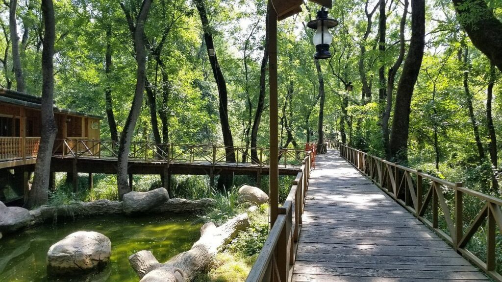 Çakırlar Korusu: Doğa Rotası